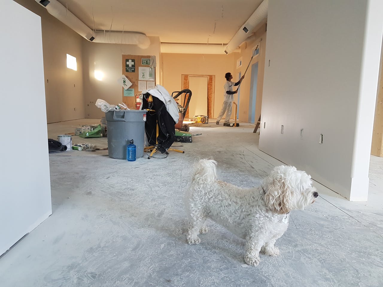 about-04 Interior renovation scene with a painter working and a dog in the foreground.